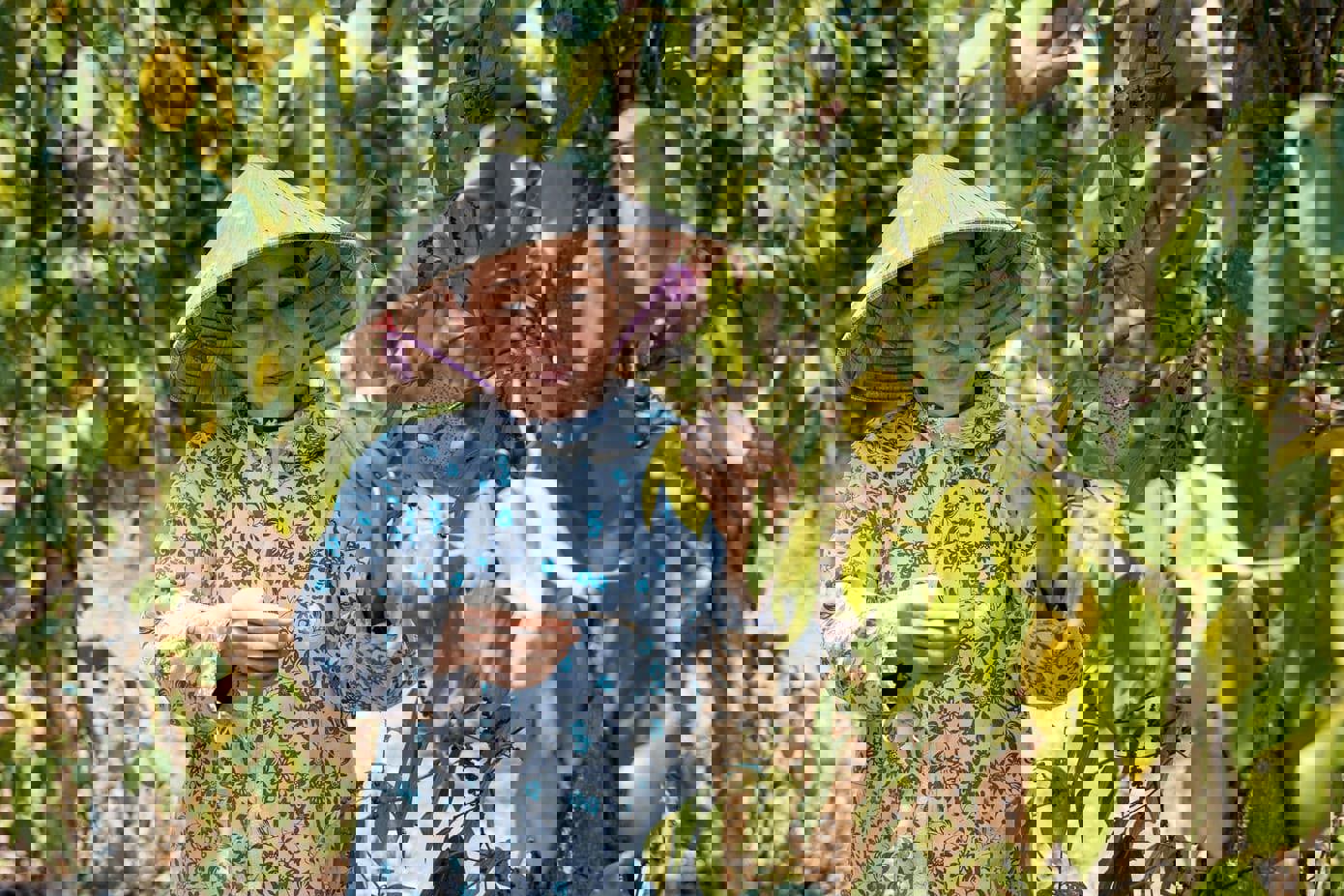 Những vườn tiêu đang vào vụ thu hoạch thiếu nước và héo úa ảnh hưởng nghiêm trọng đến kinh tế của người dân Cam Nghĩa